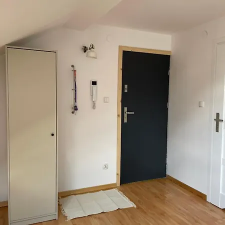 Fresh Cosy Flat In Center Zakopane